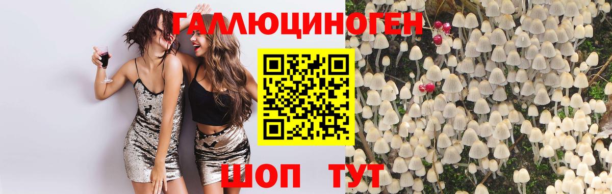Псилоцибиновые грибы Psilocybe Сатка